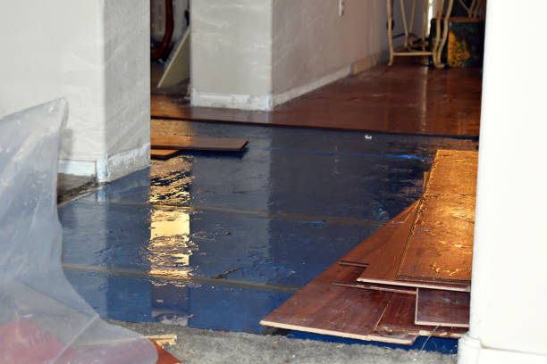 Professional Water Damage Restoration technician working in Crump, TN